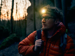 SEBASTIAN WOLF