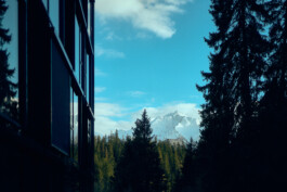 SEBASTIAN WOLF